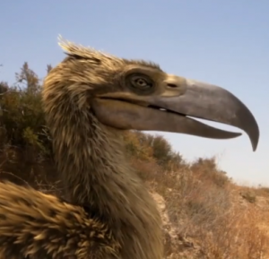 Depredadores Prehistóricos: Las Aves del Terror