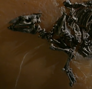 300 millones de años 2/2: El planeta humano