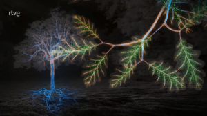 La genialidad de los árboles [Documental]