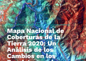 Mapa Nacional de Coberturas de la Tierra 2020: Un Análisis de los Cambios en los Ecosistemas de Colombia