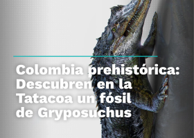 Colombia prehistórica: Descubren en la Tatacoa un fósil de Gryposuchus