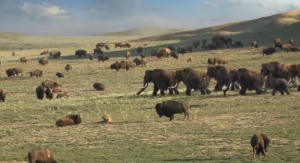 El misterio de los gigantes de la Edad de Hielo